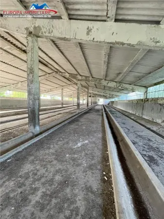 Spațiu industrial Bestepe - poza 16