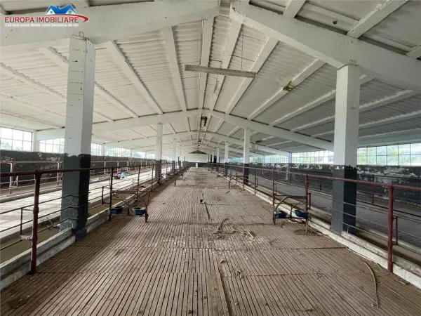 Spațiu industrial Bestepe - poza 17