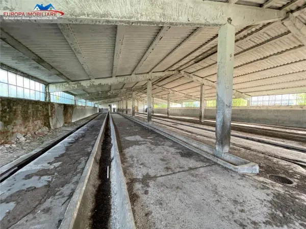 Spațiu industrial Bestepe - poza 18