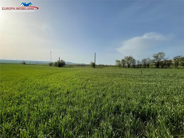 Spațiu industrial Bestepe - poza 24
