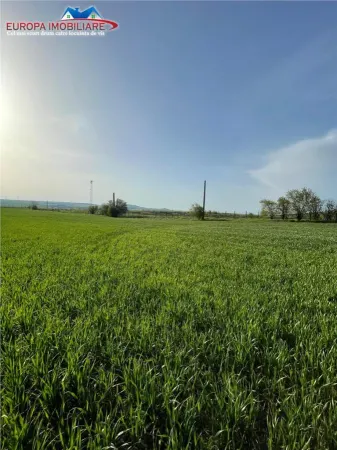 Spațiu industrial Bestepe - poza 25
