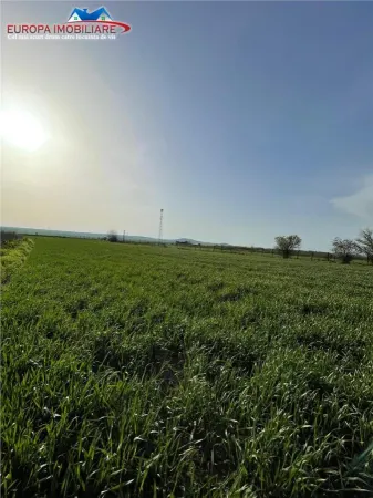 Spațiu industrial Bestepe - poza 27