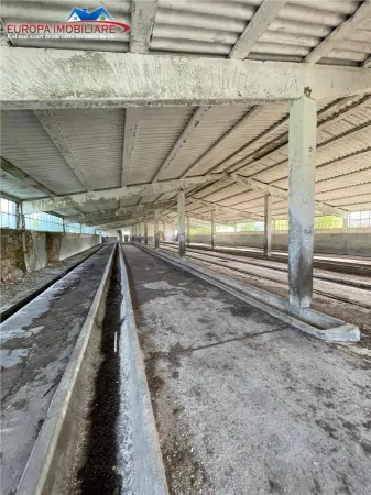 Spațiu industrial Bestepe - poza 41