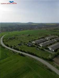Ferma de vanzare in localitatea Bestepe - foto 8