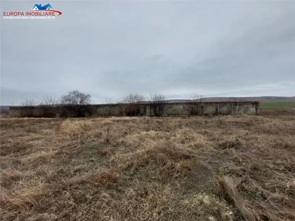 Teren Tulcea - poza 2