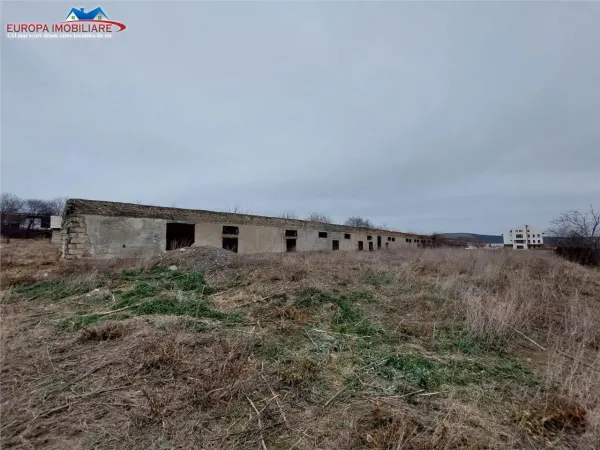 Teren Tulcea - poza 4