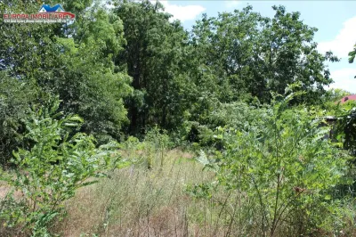 Teren + 2 corpuri de casa de vanzare in zona Dallas - Tulcea
