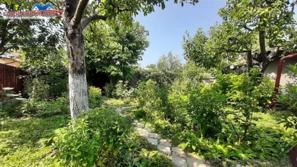 Casă 3 camere Tulcea - poza 3