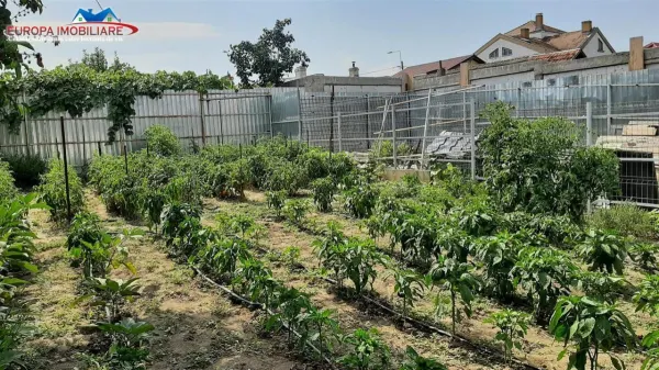 Casă 5 camere Tulcea - poza 3