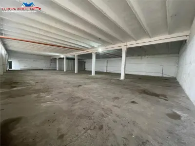 Hale de inchiriat zona Prislav Tulcea - foto 3