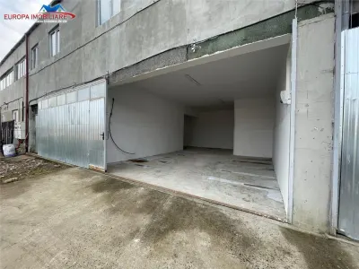 Hale de inchiriat zona Prislav Tulcea - foto 7