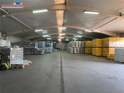 Centru logistic de inchiriat in Tulcea - foto 3