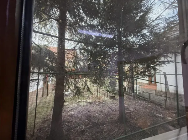 Casă 4 camere Iași - poza 21
