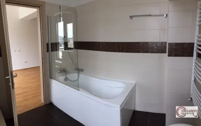 PENTHOUSE  vedere panoramica parc Herastrau - foto 6
