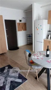 Apartament 2 Camere Open Space, Nicolina – Lângă Lidl - foto 12