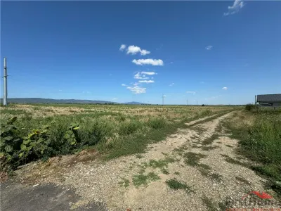 Teren in Golesti 9.848mp intravilan + extravilan  pret 6 euro / mp - foto 6