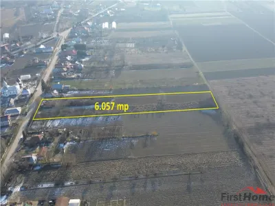 Teren 6.057 mp in Radulesti cu deschidere 30 metri la asfalt - foto 2