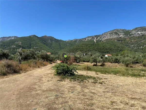 Teren Ploiești - poza 17
