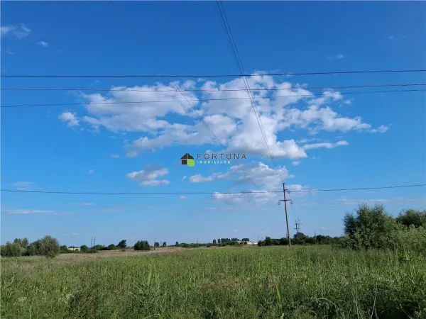 Teren Boldesti-Scaeni - poza 1