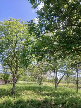 Teren Boldesti-Scaeni - poza 9
