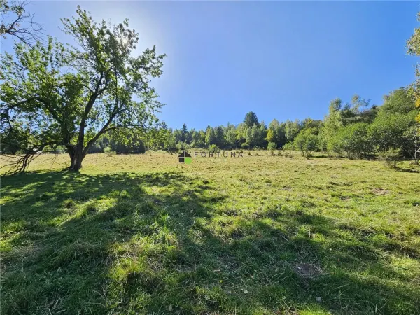 Teren Zărnești - poza 3