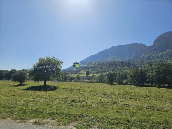 Teren Zărnești - poza 4