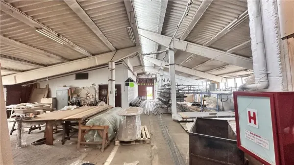 Spațiu industrial Teliu - poza 3