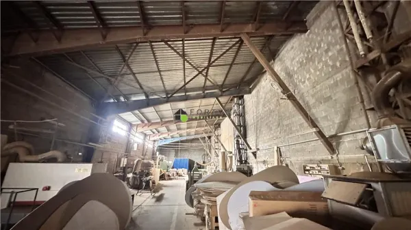 Spațiu industrial Teliu - poza 8