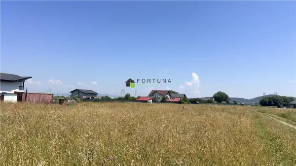 Teren Sânpetru - poza 2