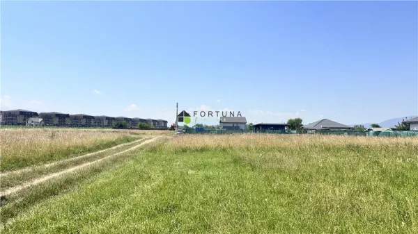 Teren Sânpetru - poza 5
