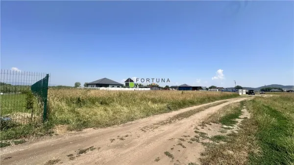 Teren Sânpetru - poza 8