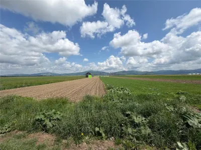 Teren extravilan 10.000 mp - Ieșire Prejmer spre Cărpiniș - foto 2