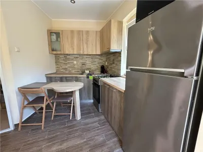 Casa cocheta, 2 camere mobilata si utilata, Centrul Istoric - foto 8