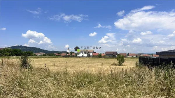 Teren Hărman - poza 5
