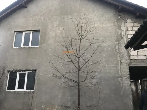 Casă 6 camere Golești - poza 1
