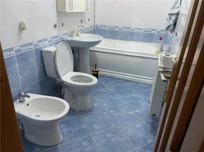 Apartament 2 camere ,56 mp, zona str Mare a Unirii , renovat complet , mobilat si utilat - foto 7