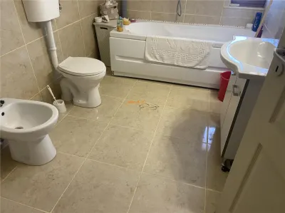 Casa de vanzare in Golesti , parter+etaj + mansarda , suprafata casa 383 mp, posibilitate spatiu comercial - foto 22