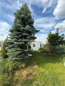 Triplex Vedere Lac Gradina Proprie 2 Locuri Parcare Subterana - foto 2