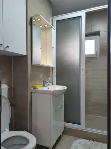 Inchiriere apartament 3 camere Exercitiu - foto 8