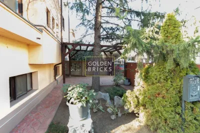 Piata Dorobanti, vila individuala cu finisaje de lux, - foto 23