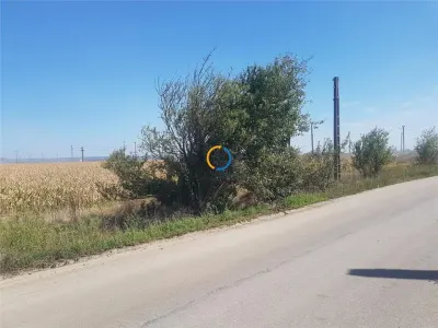 Teren Oarja cu acces facil la Autostrada si Drumul Expres 5800 mp - Oarja