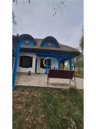 Casă 9 camere Partizani - poza 6