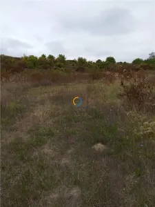 Teren Stefanesti limita cu Calinesti 800 mp, la 200 m de DN - foto 2