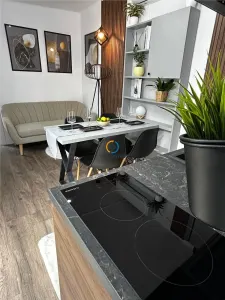 Vanzare casa de vacanta  DELTA DUNARII sat Partizani - foto 4