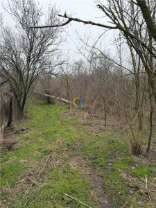 Teren Calinesti Ciocanesti la asfalt - foto 2