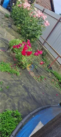 Casă 4 camere Pitești - poza 16