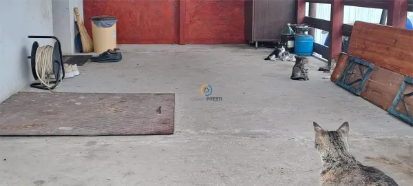 Casă 4 camere Pitești - poza 18
