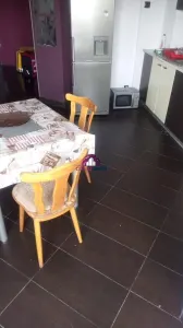 Apartament de inchiriat Parcul Lunca Florilor se acepta si straini - foto 1