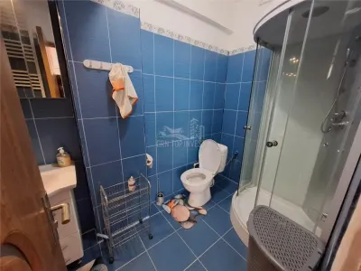 Penthouse 3 camere terasa 58 mp si parcare Doamna Stanca - foto 11