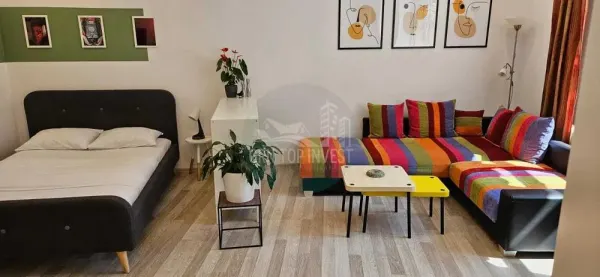 Apartament 1 camera Sibiu - poza 12
